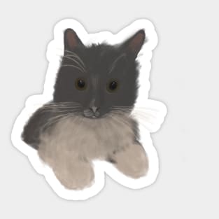 Norwegian forest cat Sticker